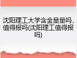 沈阳理工大学含金量量吗，值得报吗(沈阳理工值得报吗)