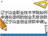 辽宁冶金职业技术学院如何申请在读间的创业无息贷款(辽宁冶金创业贷款申请)