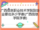 广西信息职业技术学院到毕业要花多少学费(广西信息学院学费)