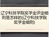 辽宁科技学院奖学金评定细则是怎样的(辽宁科技学院奖学金细则)