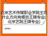 北京艺术传媒职业学院主攻什么方向有哪些王牌专业(北京艺院王牌专业)