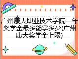 广州康大职业技术学院一年奖学金最多能拿多少(广州康大奖学金上限)