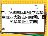 广西英华国际职业学院毕业生就业大致去向如何(广西英华毕业生去向)