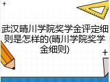 武汉晴川学院奖学金评定细则是怎样的(晴川学院奖学金细则)