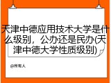 天津中德应用技术大学是什么级别，公办还是民办(天津中德大学性质级别)