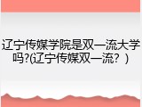 辽宁传媒学院是双一流大学吗?(辽宁传媒双一流？)