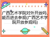 广西艺术学院对外开放吗，能否进去参观(广西艺术学院开放参观吗)