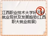 江西职业技术大学好不好，就业现状及发展趋势(江西职大就业前景)