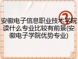安徽电子信息职业技术学院读什么专业比较有前景(安徽电子学院优势专业)