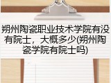 朔州陶瓷职业技术学院有没有院士，大概多少(朔州陶瓷学院有院士吗)