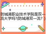防城港职业技术学院是双一流大学吗?(防城港双一流？)