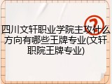 四川文轩职业学院主攻什么方向有哪些王牌专业(文轩职院王牌专业)