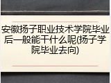 安徽扬子职业技术学院毕业后一般能干什么呢(扬子学院毕业去向)