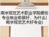 南京视觉艺术职业学院哪些专业就业前景好，为什么(南京视觉艺术好专业)