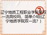 辽宁地质工程职业学院是双一流高校吗，简单介绍(辽宁地质学院双一流？)