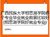 广西民族大学相思湖学院哪个专业毕业就业前景比较好(相思湖学院好就业专业)