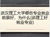 武汉理工大学哪些专业就业前景好，为什么(武理工好就业专业)