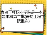 青岛工程职业学院是一本还是本科第二批(青岛工程学院批次)