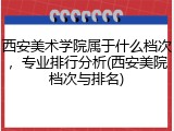 西安美术学院属于什么档次，专业排行分析(西安美院档次与排名)