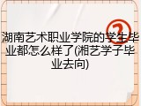 湖南艺术职业学院的学生毕业都怎么样了(湘艺学子毕业去向)