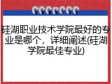 硅湖职业技术学院最好的专业是哪个，详细阐述(硅湖学院最佳专业)