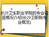 长沙卫生职业学院的专业设置概况介绍(长沙卫职院专业概览)