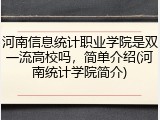 河南信息统计职业学院是双一流高校吗，简单介绍(河南统计学院简介)
