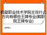 鹤壁职业技术学院主攻什么方向有哪些王牌专业(鹤职院王牌专业)