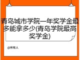 青岛城市学院一年奖学金最多能拿多少(青岛学院最高奖学金)