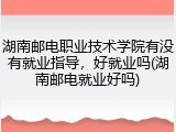 湖南邮电职业技术学院有没有就业指导，好就业吗(湖南邮电就业好吗)