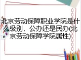 北京劳动保障职业学院是什么级别，公办还是民办(北京劳动保障学院属性)
