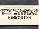 榆林能源科技职业学院有哪些专业，就业前景如何(榆林职院专业就业)