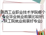 陕西工业职业技术学院哪个专业毕业就业前景比较好(陕工院就业前景好专业)