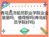 青岛远洋船员职业学院含金量量吗，值得报吗(青岛船员学院好吗)