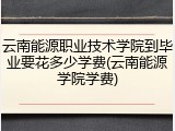 云南能源职业技术学院到毕业要花多少学费(云南能源学院学费)