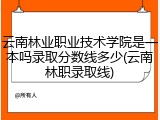 云南林业职业技术学院是一本吗录取分数线多少(云南林职录取线)
