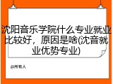 沈阳音乐学院什么专业就业比较好，原因是啥(沈音就业优势专业)