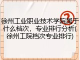 徐州工业职业技术学院属于什么档次，专业排行分析(徐州工院档次专业排行)
