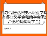 民办合肥经济技术职业学院有哪些奖学金和助学金呢(合肥经院奖助学金)