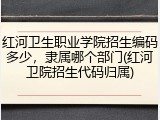 红河卫生职业学院招生编码多少，隶属哪个部门(红河卫院招生代码归属)
