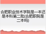 合肥职业技术学院是一本还是本科第二批(合肥职院是二本吗)
