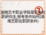 湖南艺术职业学院是否有在职研究生,报考条件如何(湖南艺职在职研条件)