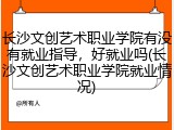 长沙文创艺术职业学院有没有就业指导，好就业吗(长沙文创艺术职业学院就业情况)