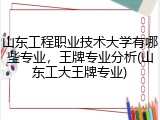 山东工程职业技术大学有哪些专业，王牌专业分析(山东工大王牌专业)
