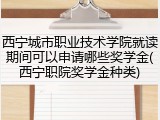 西宁城市职业技术学院就读期间可以申请哪些奖学金(西宁职院奖学金种类)