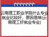 云南理工职业学院什么专业就业比较好，原因是啥(云南理工好就业专业)