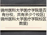 锦州医科大学医疗学院是否有分校，共有多少个校区(锦州医科大学医疗学院校区数量)