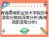 青海高等职业技术学院历年录取分数线深度分析(青海高职录取分析)