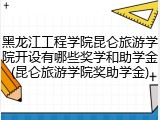 黑龙江工程学院昆仑旅游学院开设有哪些奖学和助学金(昆仑旅游学院奖助学金)