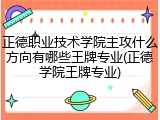 正德职业技术学院主攻什么方向有哪些王牌专业(正德学院王牌专业)